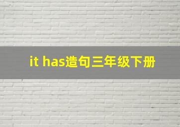 it has造句三年级下册